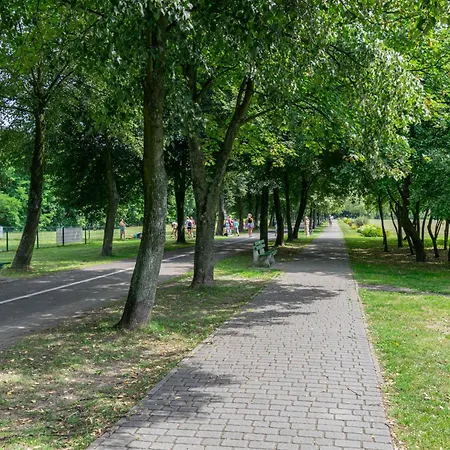 Kato 3 Stawy - Free Parking - Self Check-in Κατοβίτσε