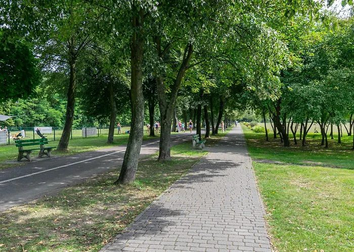 Kato 3 Stawy - Free Parking - Self Check-in קטוביץ